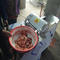 Maison automatique de trancheuse de coupeur de viande de scie d'os découpant la coupe en tranches gelée de viande de porc