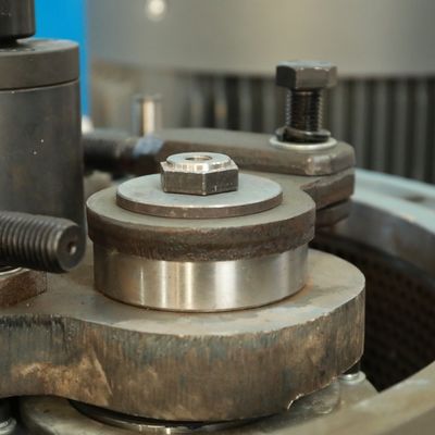 Acier portable antirouille de la machine 0.2t/H de granules de bois de biomas d'alimentation de volaille de MIKIM