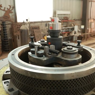 Le bois de matrice d'appartement granule l'économie d'énergie de la machine 1100kg/H 800kg/H antirouille