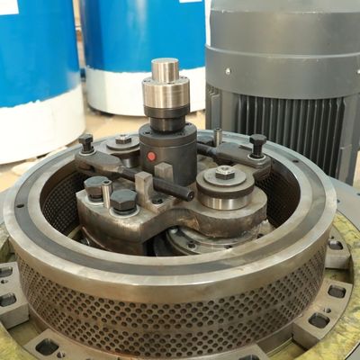 Granule en plastique de combustible organique de bagasse de luzerne faisant la machine 5000kg/H 2mm