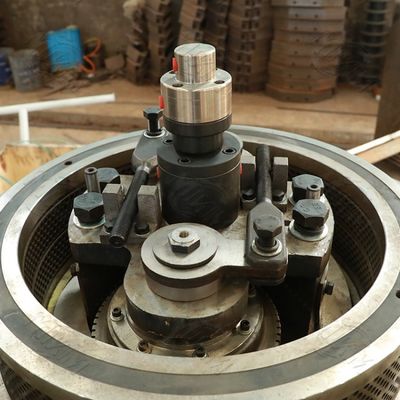 Le bois d'eucalyptus de carburant granule la machine Ring Die vertical 3t/H