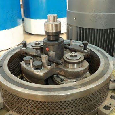 Le bois de biomasse de café de double couche granule la machine 0.6mm 1500kgs/H