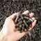 Le bois de biomasse de café de double couche granule la machine 0.6mm 1500kgs/H