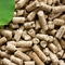 Le bois 4Cr13 d'acier inoxydable granule l'arachide Shell Grass Pellet Maker 0.8t/H de machine