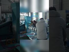 Aliments pour poissons flottants automatiques faisant des extrudeuses d'aliments pour poissons d'usine