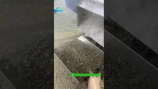 Extrudeuse flottante de granulés d'aliments pour poissons, 200 kg/h, test avant l'emballage #fishfeedmachine