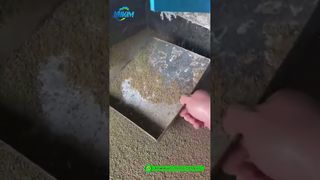 Moulin à granulés pour aliments pour crevettes | Démonstration de production de produits finis en usine # machine à granulés d'alimentation